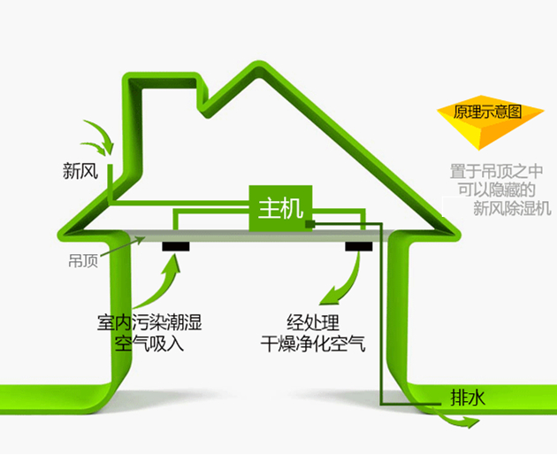 星空体育注册官网
除湿机-别墅排屋中央新风净化除湿机