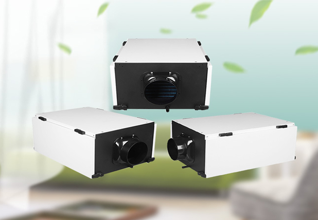 家用除湿机是否有效除湿？如何正确摆放？