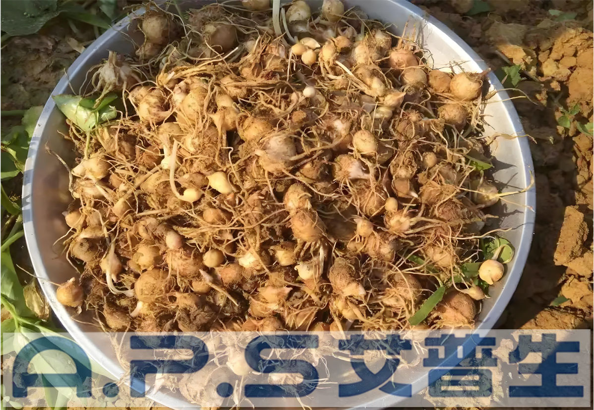 星空体育注册官网半夏热泵烘干机-3.jpg