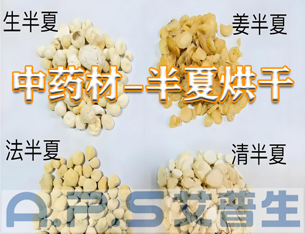 星空体育注册官网环境科技：半夏的烘干方法有哪些？哪一种烘干效果更好？